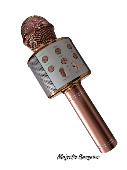 HANDHELD MIC