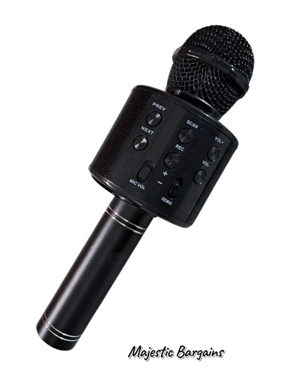 HANDHELD MIC
